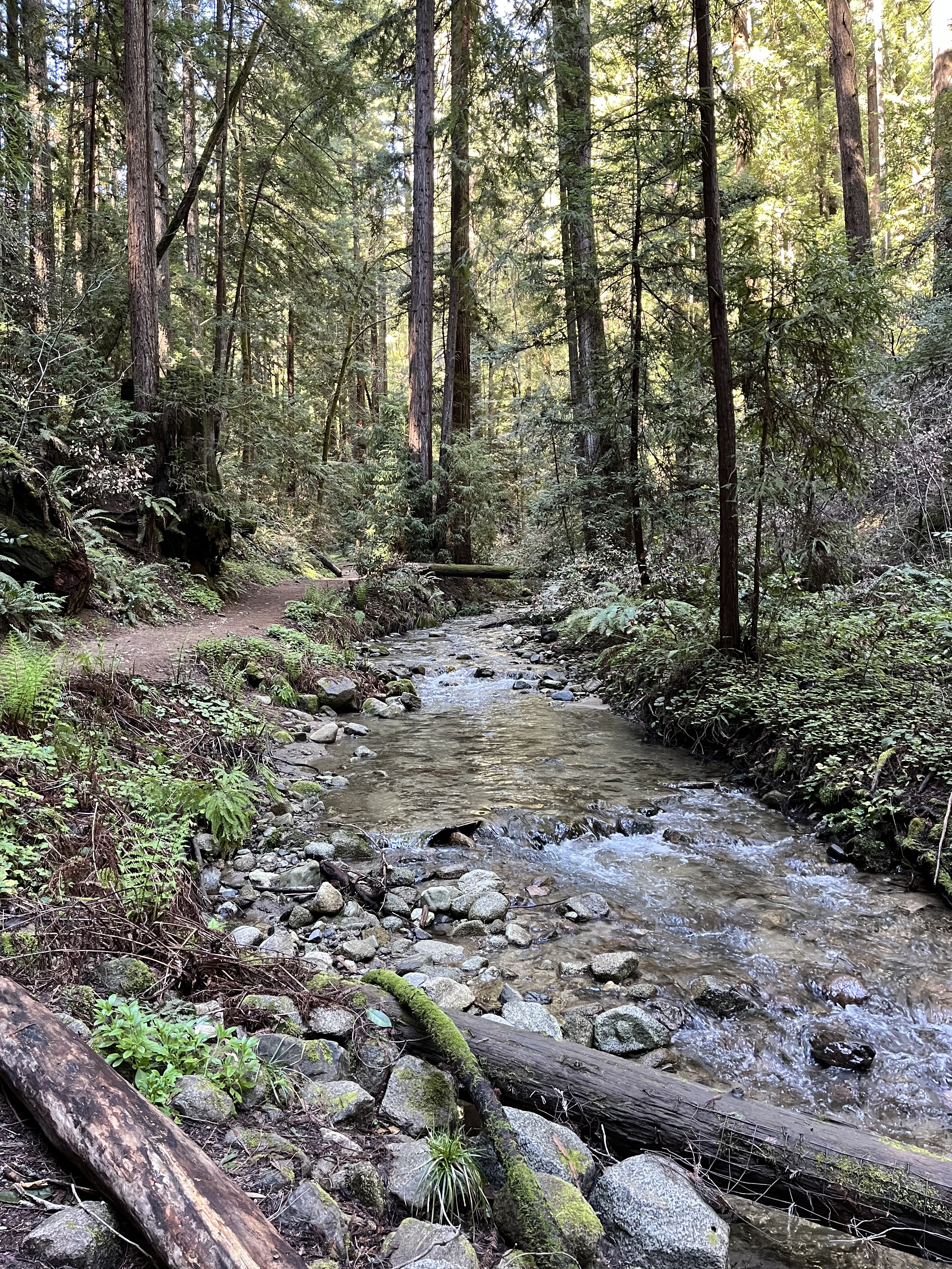 Henry Cowell -- Fall Creek.jpg