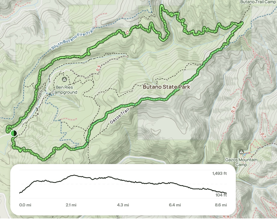 Butano SP - Ano Nuevo Olmo Fire Road Canyon & Jackson Flats.jpg