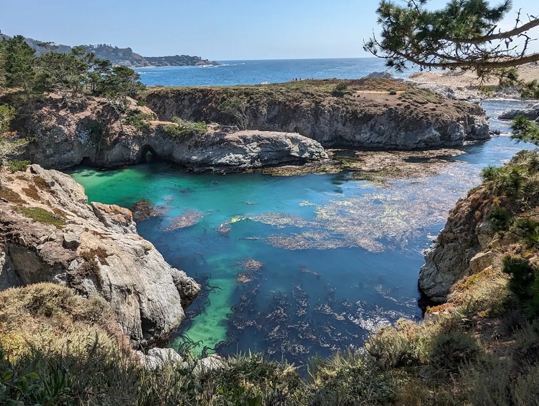 Point Lobos picture.jpg
